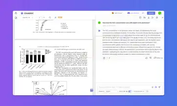An image in blog article